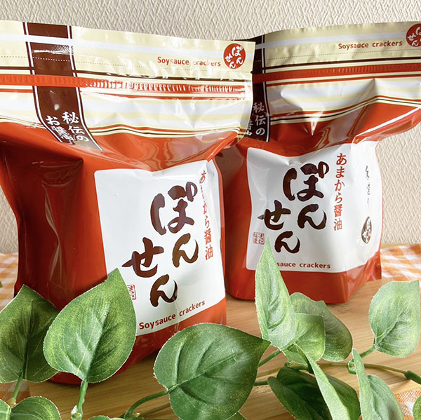 (商品画像) 【大判サイズ定番味】 9枚手造りポンせん （6入）