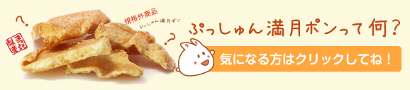 ぷっしゅん満月ポンって何？